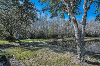 1549 Arlington Oaks Court, Trinity, FL 34655 - Photo 40