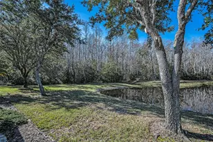 1549 Arlington Oaks Ct, Trinity, FL 34655 - Photo 40