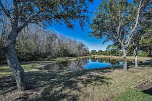 1549 Arlington Oaks Ct, Trinity, FL 34655 - Photo 36