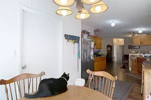 9801 Upland Dr, Hudson, FL 34667 - Photo 12