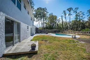 2808 Woodhall Terrace, Palm Harbor, FL 34685 - Photo 42