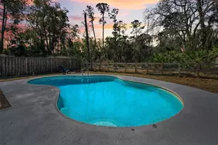2808 Woodhall Terrace, Palm Harbor, FL 34685 - Photo 2