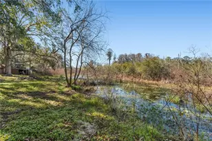 8811 Marigold Dr, New Port Richey, FL 34654 - Photo 8