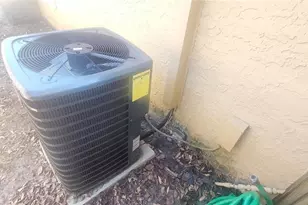 4839 Billy Direct Ln, Lutz, FL 33559 - Photo 36