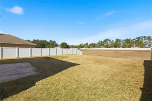 36115 Markree Castle Ave, Dade City, FL 33525 - Photo 26