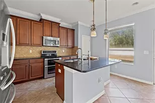 5586 Angelonia Terrace, Land O Lakes, FL 34639 - Photo 12