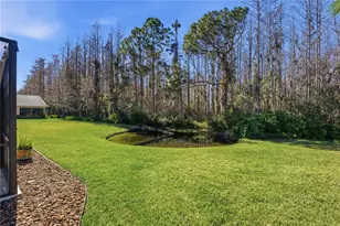 1133 Sweet Jasmine Dr, Trinity, FL 34655 - Photo 40