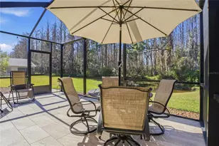 1133 Sweet Jasmine Dr, Trinity, FL 34655 - Photo 34