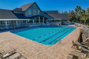 1133 Sweet Jasmine Dr, Trinity, FL 34655 - Photo 4