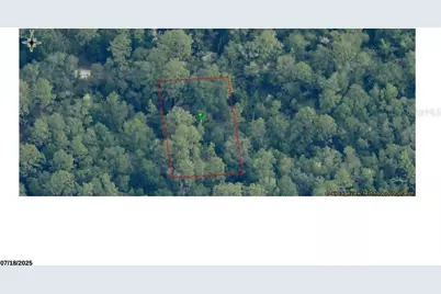 7248 W Citruswood Drive, Dunnellon, FL 34433 - Photo 1