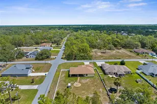 12026 Penguin Ave, Weeki Wachee, FL 34614 - Photo 30