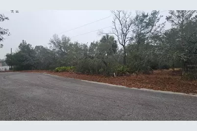 0 Indian Trail Road, Weeki Wachee, FL 34613 - Photo 2