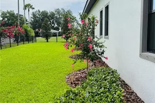 1222 Almeria Dr, Trinity, FL 34655 - Photo 68