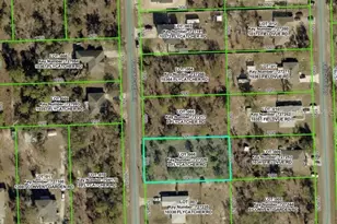 10340 Flycatcher Rd, Weeki Wachee, FL 34613 - Photo 1