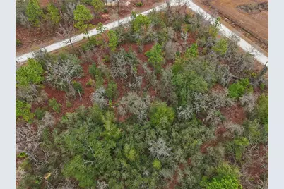 00 Velvet Scoter Avenue, Weeki Wachee, FL 34614 - Photo 4