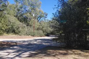 12148 Rutherford Ln, Hudson, FL 34669 - Photo 22