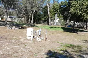 10042 Gilmer St, New Port Richey, FL 34654 - Photo 32