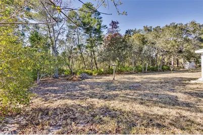 7095 Blackbird Avenue, Weeki Wachee, FL 34613 - Photo 38