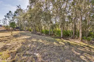 7095 Blackbird Ave, Weeki Wachee, FL 34613 - Photo 36