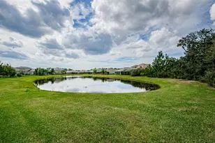 4243 Glade Wood Loop, New Port Richey, FL 34655 - Photo 30