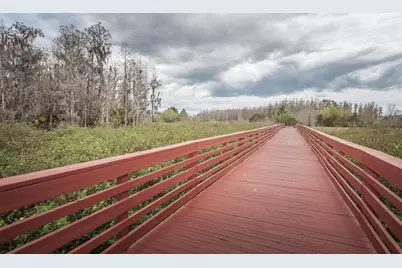 4243 Glade Wood Loop, New Port Richey, FL 34655 - Photo 70