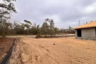 15093 Gonzo Rd, Brooksville, FL 34614 - Photo 12