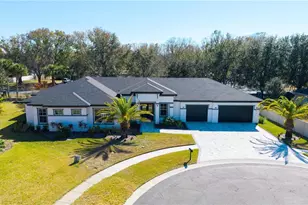 21206 Ski Way, Land O Lakes, FL 34638 - Photo 1