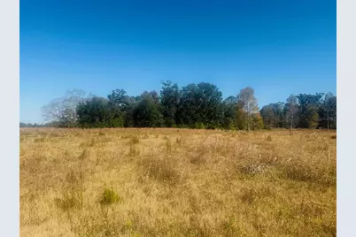 11822 153rd Road, Live Oak, FL 32060 - Photo 4