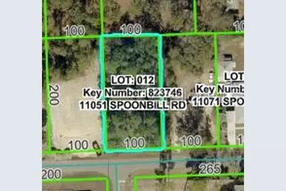 11051 Spoonbill Road, Weeki Wachee, FL 34613 - Photo 2