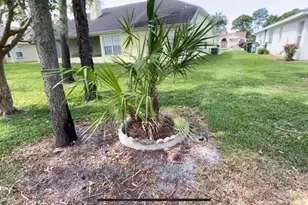 13625 Deventer Ct, Hudson, FL 34667 - Photo 4