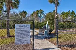 2873 Storybrook Preserve Dr, Odessa, FL 33556 - Photo 72