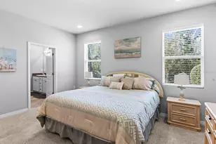 2873 Storybrook Preserve Dr, Odessa, FL 33556 - Photo 22