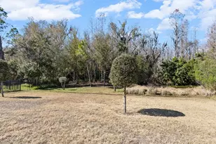 2873 Storybrook Preserve Dr, Odessa, FL 33556 - Photo 40