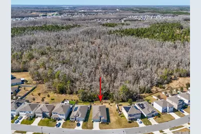 2873 Storybrook Preserve Drive, Odessa, FL 33556 - Photo 48