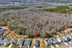 2873 Storybrook Preserve Dr, Odessa, FL 33556 - Photo 48