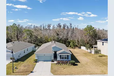 2873 Storybrook Preserve Drive, Odessa, FL 33556 - Photo 46