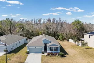 2873 Storybrook Preserve Dr, Odessa, FL 33556 - Photo 46