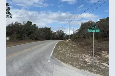 12373 Redrose Avenue, Weeki Wachee, FL 34614 - Photo 6