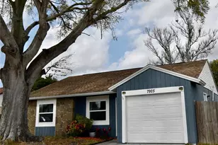 7925 Mitchell Ranch Rd, New Port Richey, FL 34655 - Photo 2