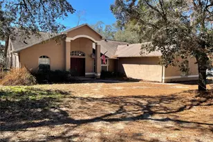 11242 Mirage Ave, Weeki Wachee, FL 34614 - Photo 20