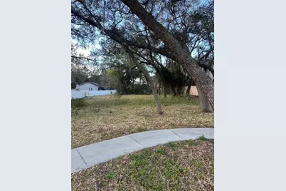 Forde Avenue, Tarpon Springs, FL 34689 - Photo 1