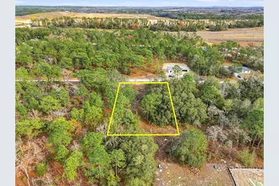 Cayman Road, Weeki Wachee, FL 34614 - Photo 14