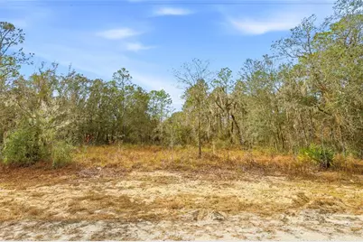 Cayman Road, Weeki Wachee, FL 34614 - Photo 4