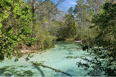 7275 Crystal Spring Run, Weeki Wachee, FL 34607 - Photo 4