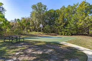 7268 Crystal Spring Run, Weeki Wachee, FL 34607 - Photo 94