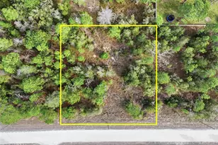 Chimney Swift Rd, Weeki Wachee, FL 34614 - Photo 1