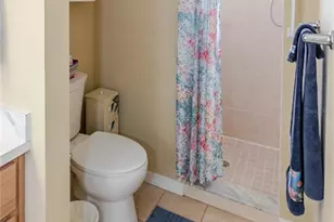 3034 Aldoro Ave, Spring Hill, FL 34609 - Photo 36