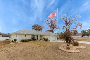 3034 Aldoro Ave, Spring Hill, FL 34609 - Photo 6