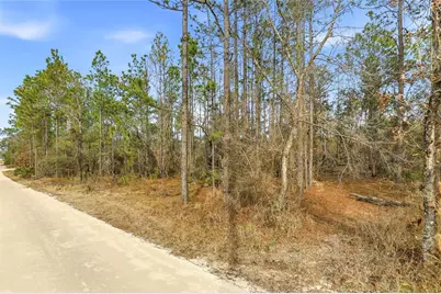 11388 Thames Avenue, Brooksville, FL 34614 - Photo 6