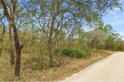 11388 Thames Avenue, Brooksville, FL 34614 - Photo 8